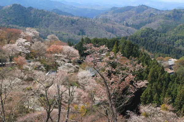 Yoshino Mikumari Tapınak, Yoshinoyama, Nara — Stok fotoğraf