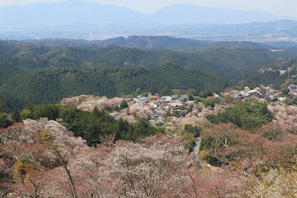 Santuario Yoshino Mikumari, Yoshinoyama, Nara —  Fotos de Stock