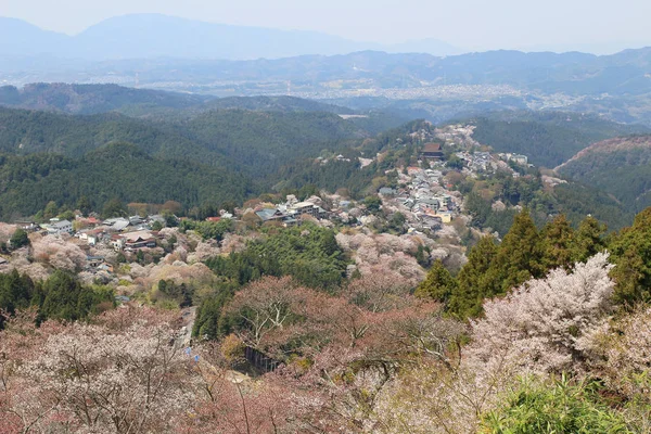 Santuário Yoshino Mikumari, Yoshinoyama, Nara — Fotografia de Stock