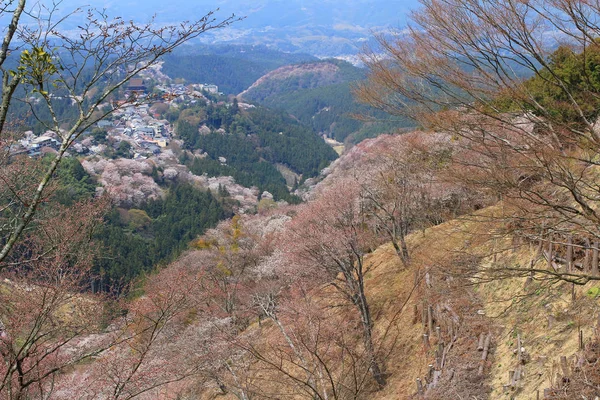 Yoshino Mikumari Nara Παρεκκλήσι, Yoshinoyama, — Φωτογραφία Αρχείου