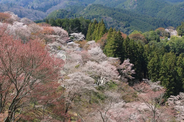 Yoshino Mikumari Shrine, Yoshinoyama, Нара, Японія — стокове фото