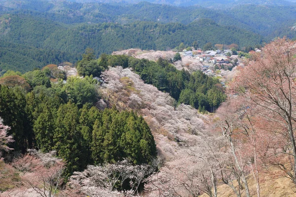 Santuário Yoshino Mikumari, Yoshinoyama, Nara — Fotografia de Stock