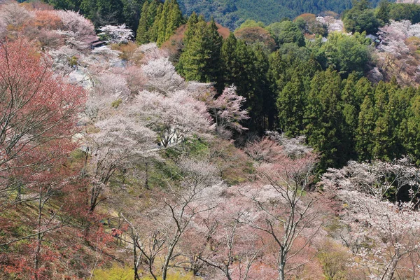 吉野水分神社の吉野山、奈良, — ストック写真