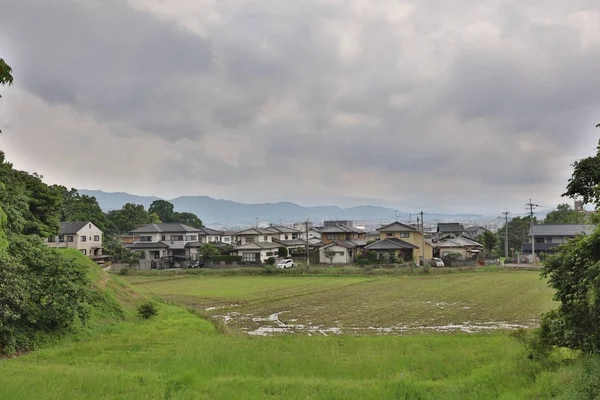 Campos de arroz, paisaje, Japón, Asia . — Foto de Stock