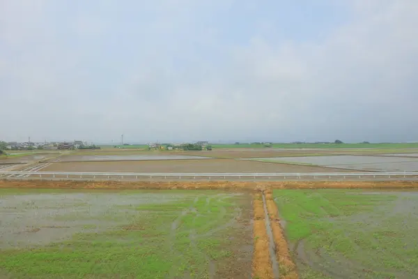 Farmy w pochmurny dzień tło w Fukuoka — Zdjęcie stockowe