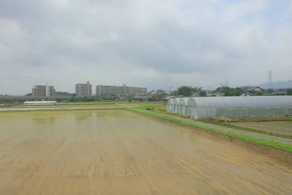 Granja en el fondo nublado día en Fukuoka —  Fotos de Stock