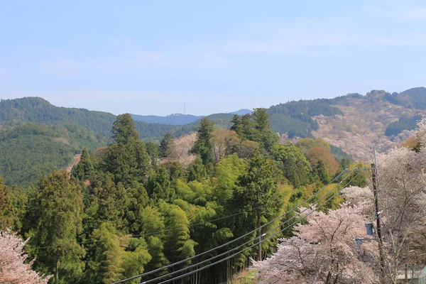 Santuario Yoshino Mikumari, Yoshinoyama, Nara , — Foto de Stock