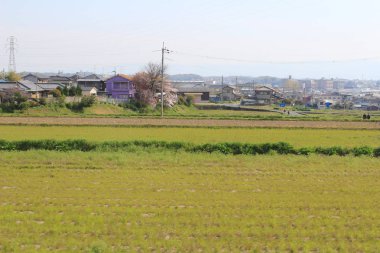 alanların teraslı içinde Japonya