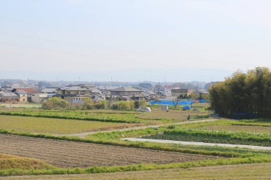 alanların teraslı içinde Japonya