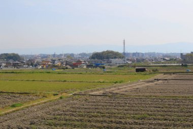 alanların teraslı içinde Japonya