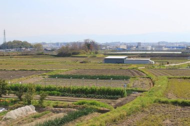 alanların teraslı içinde Japonya