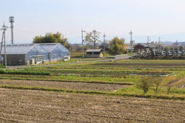alanların teraslı içinde Japonya