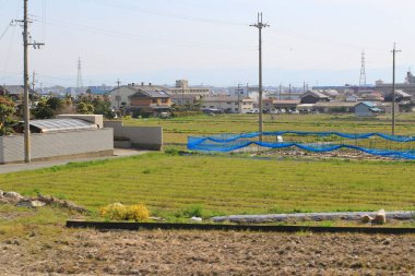 alanların teraslı içinde Japonya