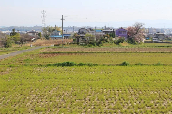 段々 になった日本のフィールド — ストック写真