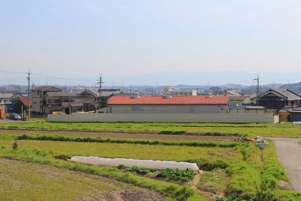 Campos em terraços no Japão — Fotografia de Stock