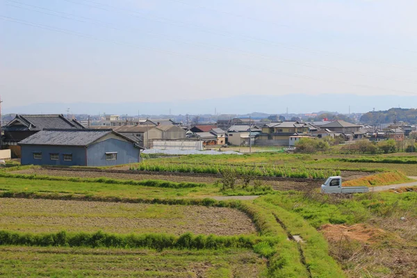 Fälten på radhus i Japan — Stockfoto