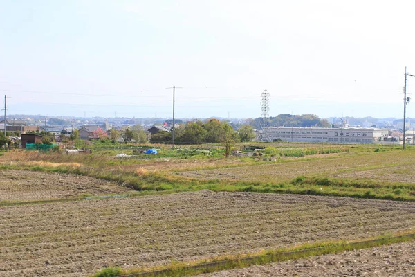 Campos en terrazas en Japón — Foto de Stock