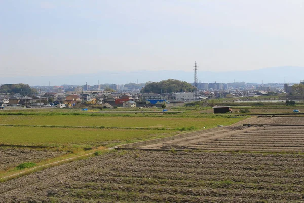 Felder auf Terrassen in Japan — Stockfoto