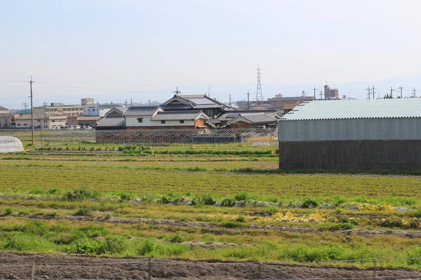 Felder auf Terrassen in Japan — Stockfoto