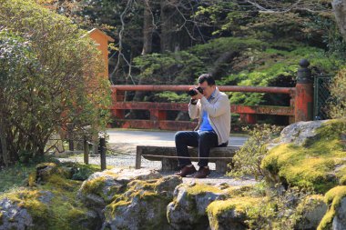 Daigoji Tapınağı Japon çiçek kiraz