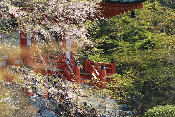 Tempio di Daigoji Giapponese che fiorisce ciliegia — Foto Stock