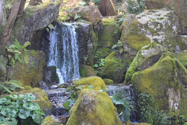 Der Daigoji-Tempel — Stockfoto