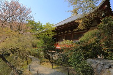 Recai-ji Tapınağı: Kyoto, Japan