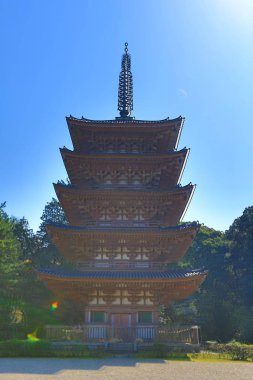 Kiraz ağacı çiçek açan Daigoji