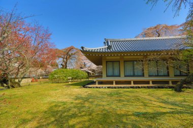 Recai-ji Tapınağı: Kyoto, Japan