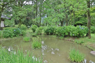 Japonya, Dnieper bataklıklar