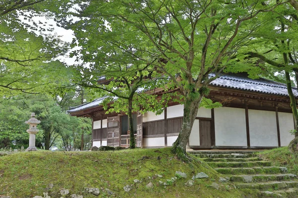 Kaidan in, Kanzeon ji a Dazaifu — Foto Stock