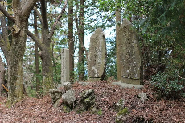 Rechte weg in nara — Stockfoto