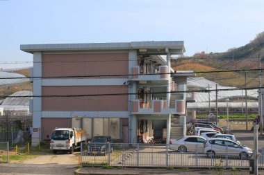 alanların teraslı içinde Japonya