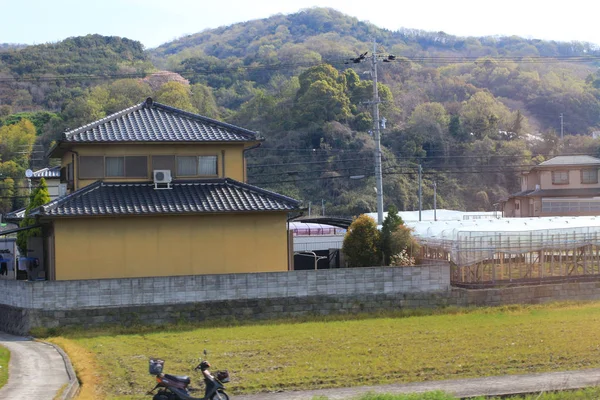 梯田在日本的字段 — 图库照片