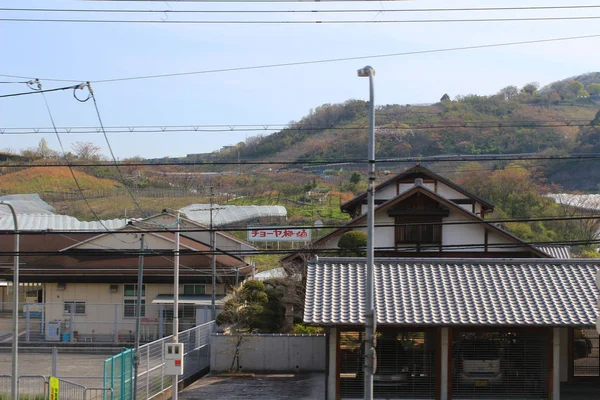 Felder auf Terrassen in Japan — Stockfoto