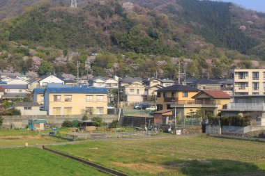 Osaka-Kyoto, Japonya tren görünümü