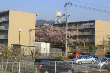 Nara, Japonya Osaka dış görünümünü Tren