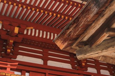 çatı Japonya Tapınağı