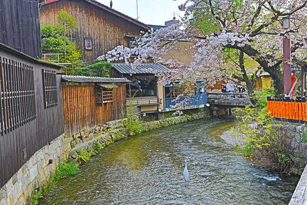 Shirakawa-minami Dori v Kjótu, Japonsko — Stock fotografie