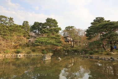 Maruyama Parkı Yasaka shring bahar sezonunda