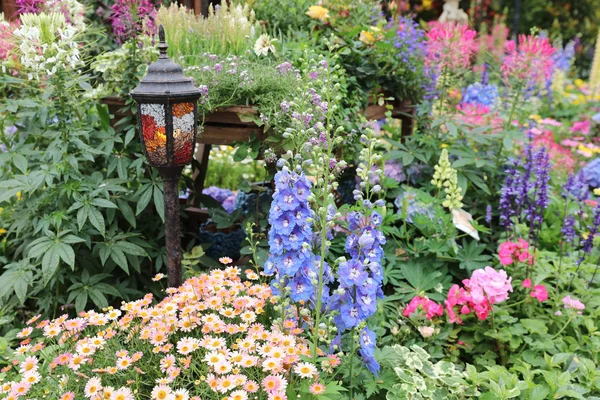 Jardín perenne cama de flores en primavera —  Fotos de Stock