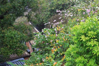  Histroic mimari yapısı Jão Tsung I Akademisi