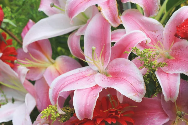 Close-up de um buquê de flores ao ar livre — Fotografia de Stock