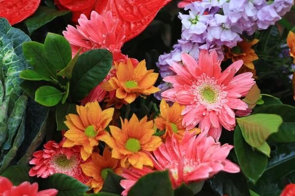 Bir çiçek demeti üzerinde açık ve yakın çekim 