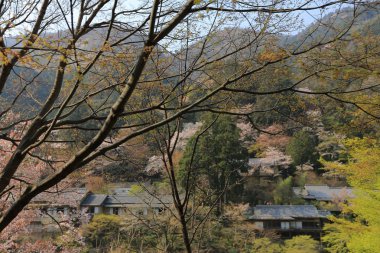Arashiyama dağın Kyoto önünde Katsura Nehri
