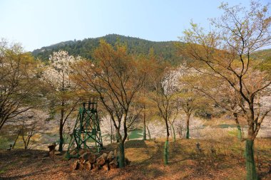 dağlar ve romantik tren K dışında nehirden görünümü