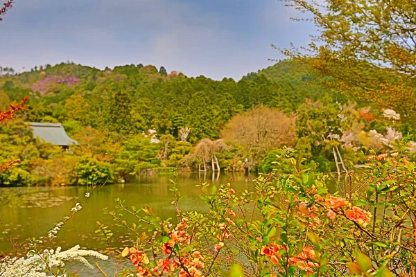 Kyoto, Japan springtime at Ryoanji Temple's pond. — Stock Photo, Image