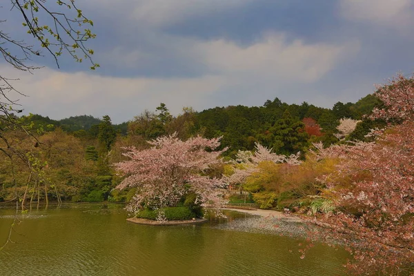 Kyoto, Japan lente Ryoanji Temple's aan de vijver. — Stockfoto