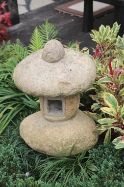 papirüs bitki ile huzurlu zen rock Bahçe