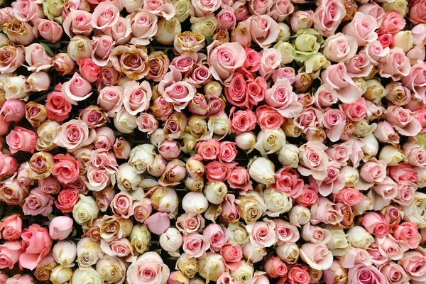 The wall flower with rose pattern — Stock Photo, Image